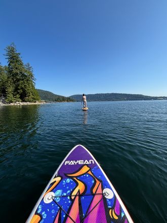 paddleboards for rent